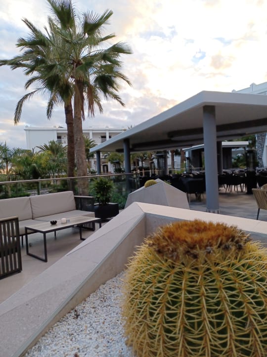 Sonstiges Hotel Riu Palace Maspalomas Adults Only