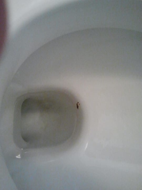 Toilette mit hinterlassenschaft vom Vorgänger Wellness Hotel Frymburk