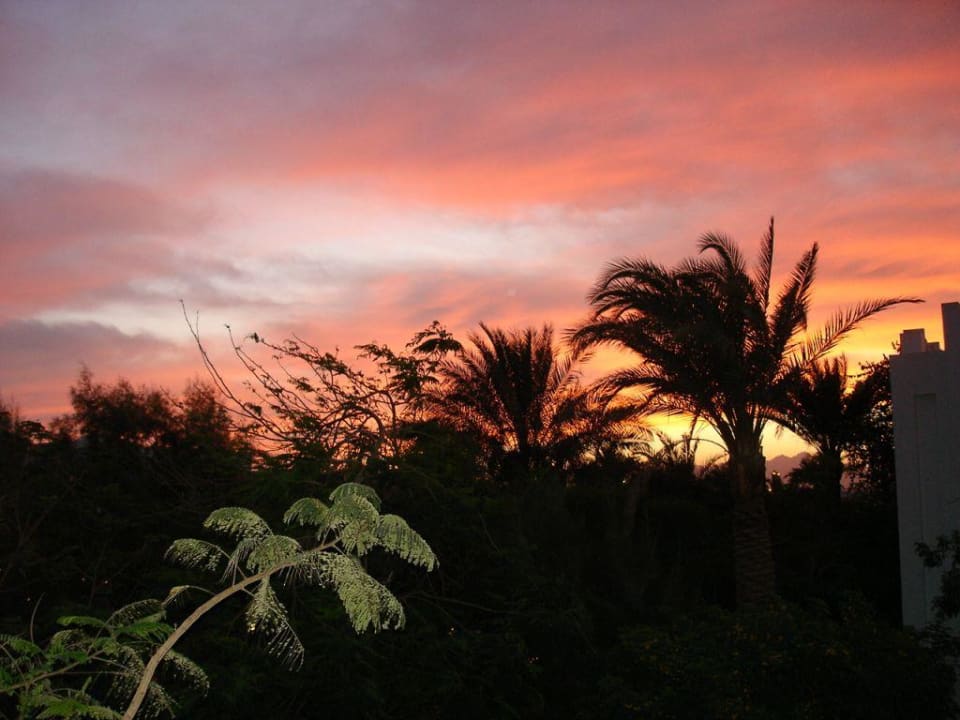 Sonnenuntergang Savoy Sharm El Sheikh