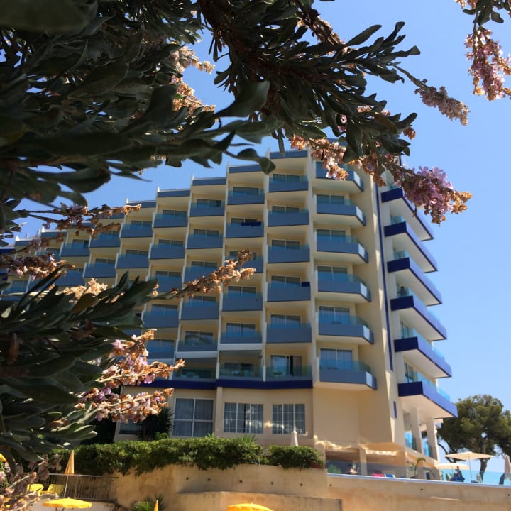 Außenansicht Europe Playa Marina - Adults Only