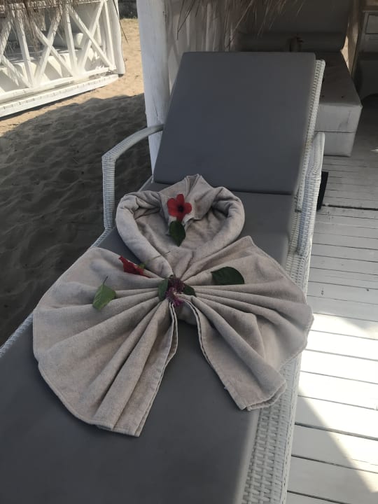 Zimmer PALOMA Perissia