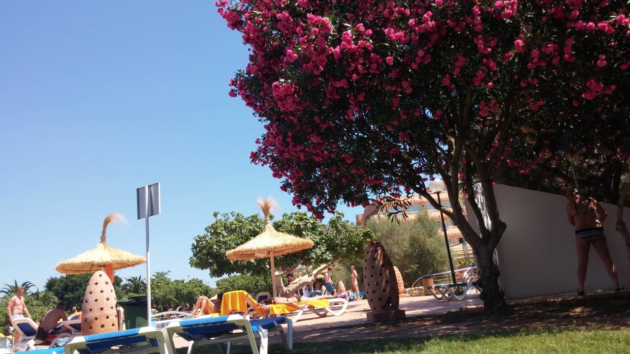 Sehr schön bepflanzt. Hotel Mariant Park