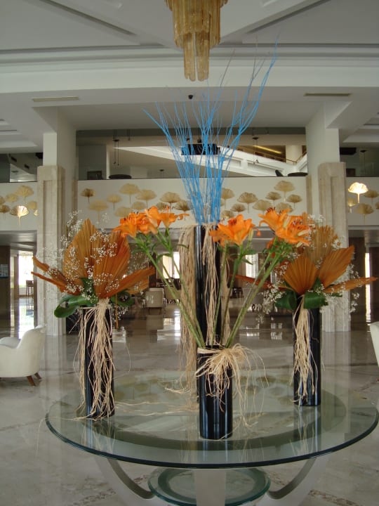 Lobby Beach Albatros Resort