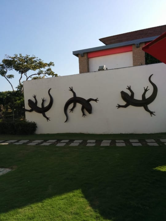 Baru Decameron Baru