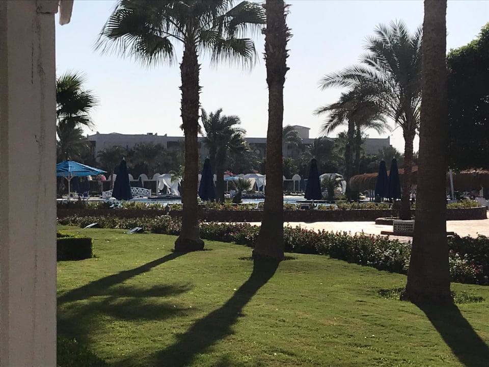 Ausblick Desert Rose