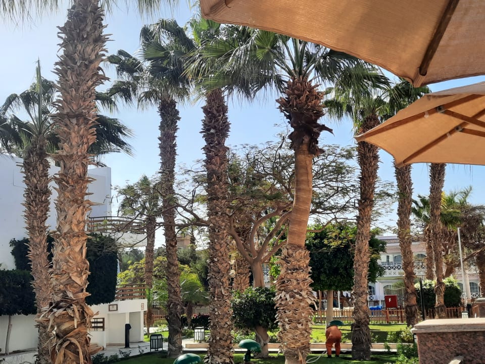 Gartenanlage The Grand Hotel Hurghada