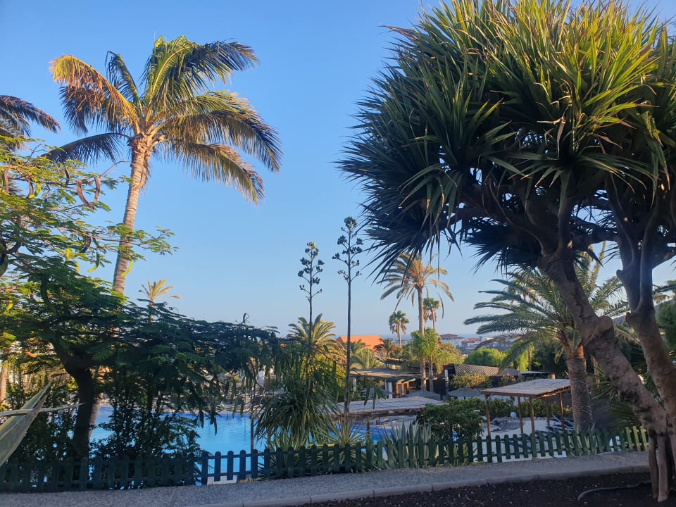 Gartenanlage allsun App.-Hotel Esquinzo Beach