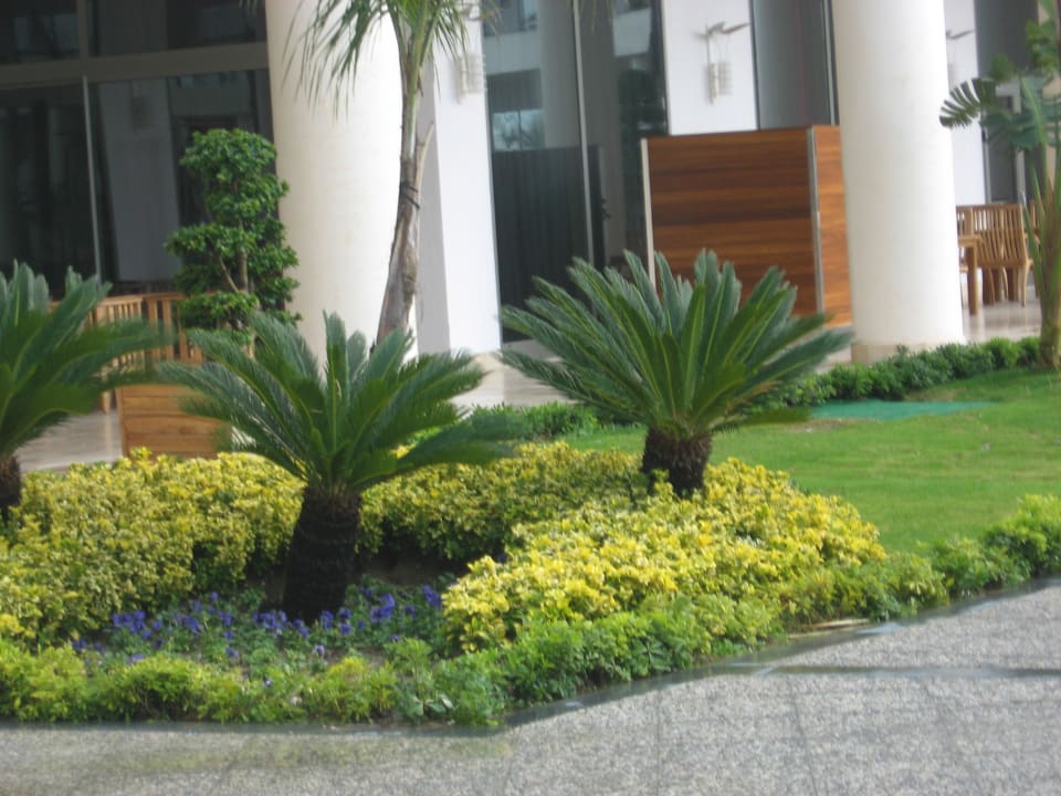Территория Maxx Royal Belek Golf Resort