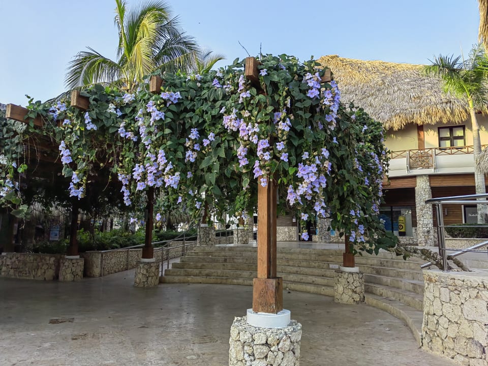 Gartenanlage Hotel Viva Dominicus Beach by Wyndham - All Inclusive Resort