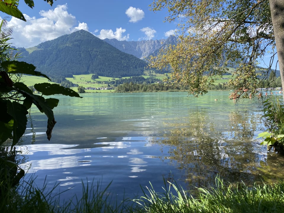 Gartenanlage Hotel Bellevue am See