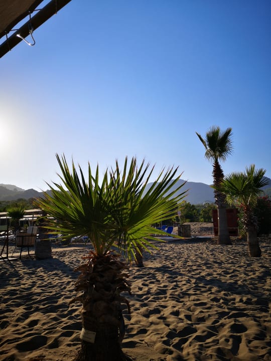 Strand TUI BLUE Sarigerme Park