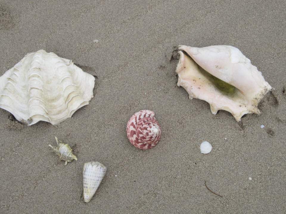 Strand Maleenga Maleenga Resort