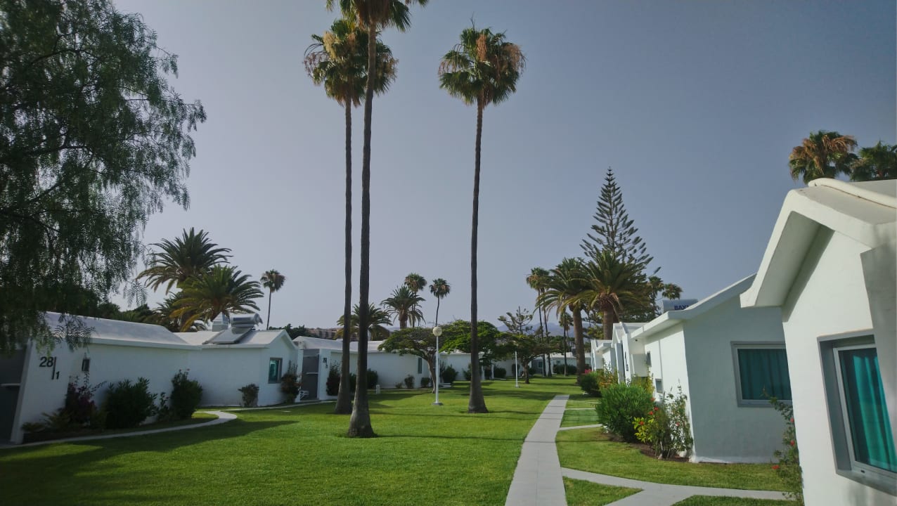 Außenansicht Canary Garden Club