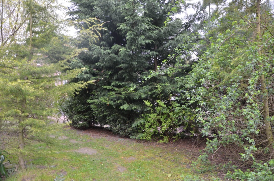 Ausblick Terrasse Center Parcs Park Nordseeküste