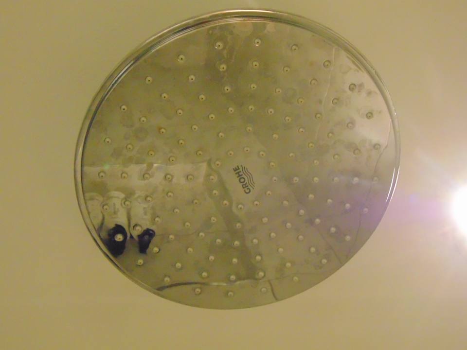 Zimmer Crowne Plaza Nairobi Airport