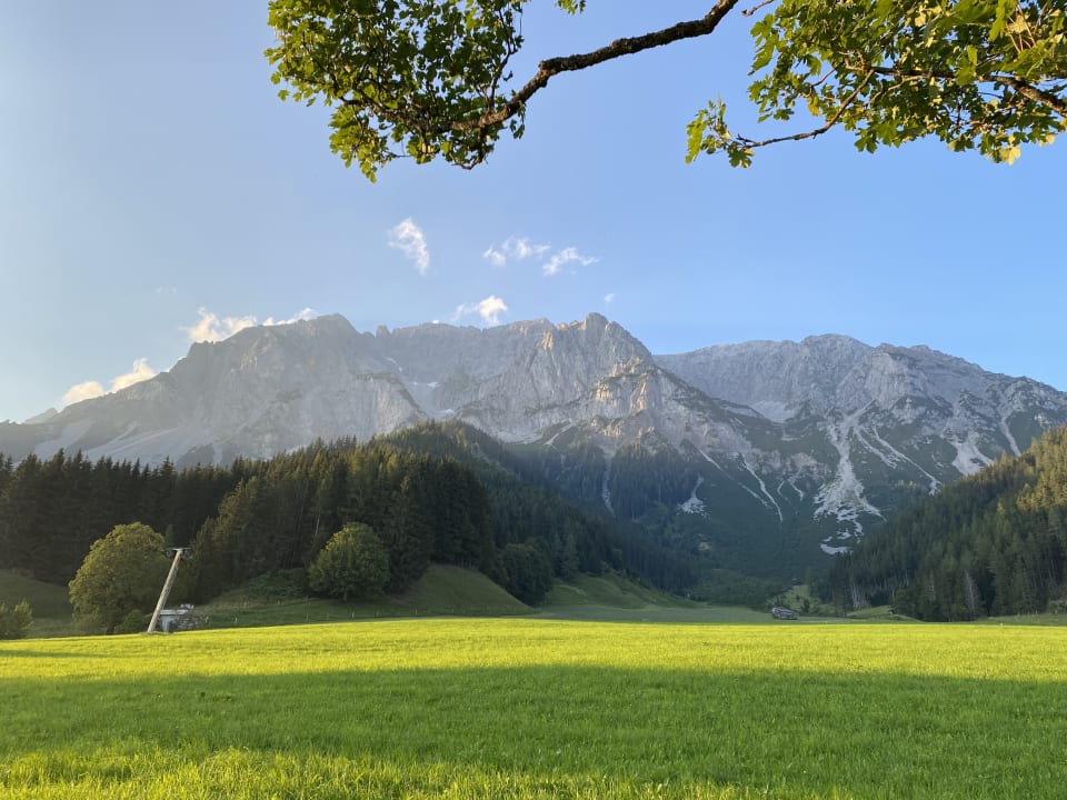 Ausblick Mayerhofer (Bauernhof)