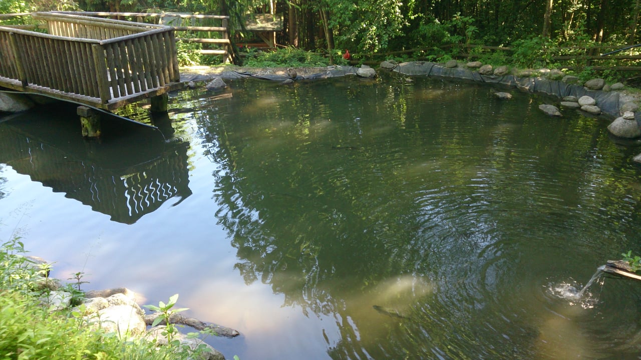 Gartenanlage Hotel Kohlerhof