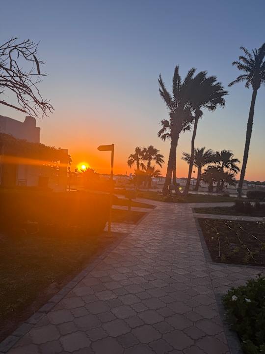 Gartenanlage Shams Safaga Resort
