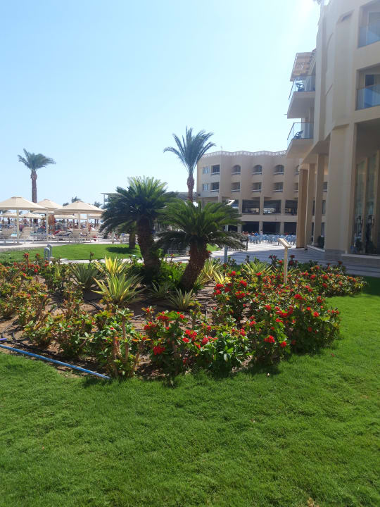 Gartenanlage Beach Albatros Resort