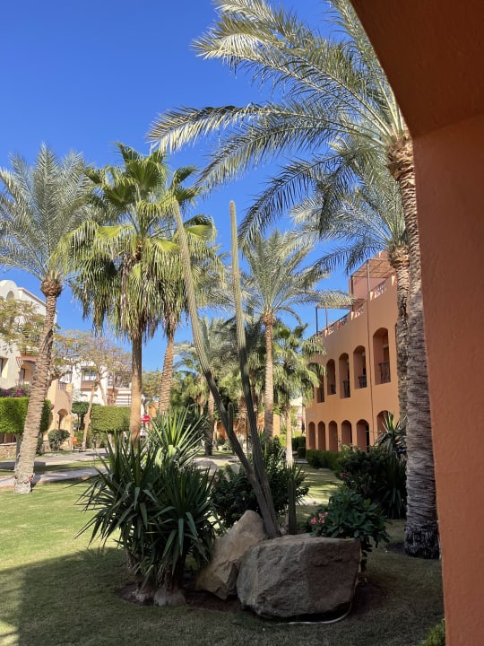 Außenansicht Jaz Makadi Oasis Resort