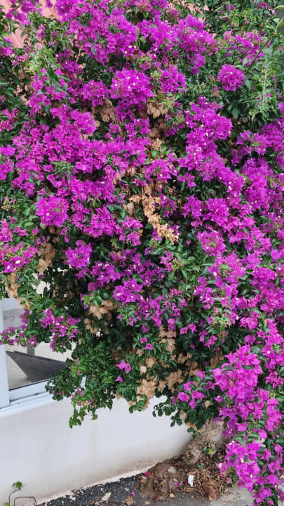 Außenansicht Harmony Boutique Resort