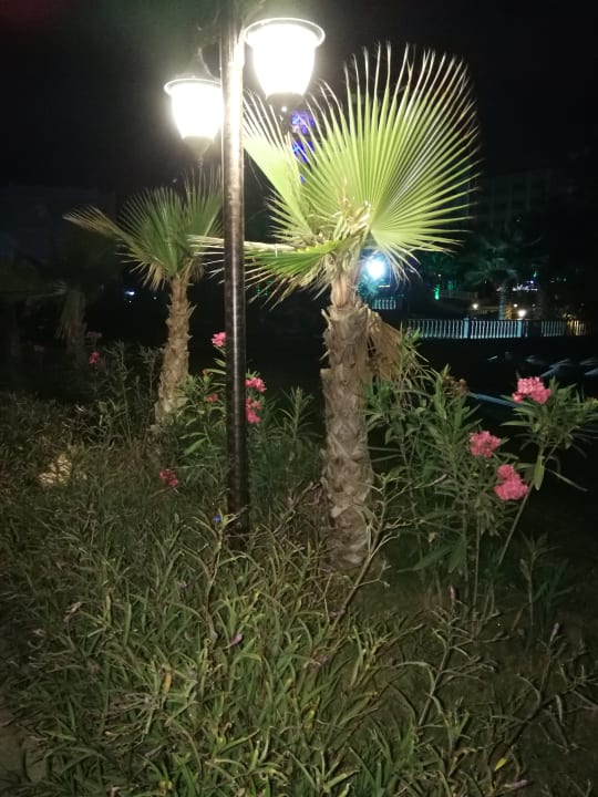 Sonstiges Kolibri Resort Hotel