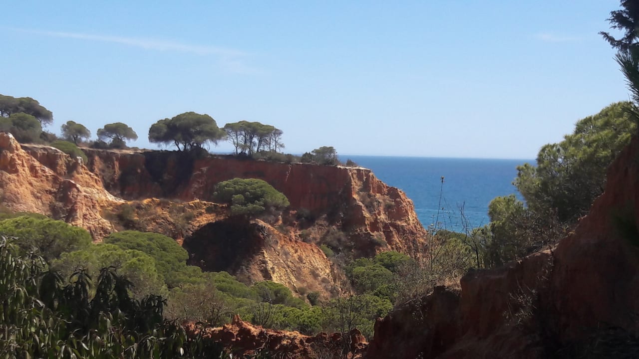 Ausblick 3HB Guaraná - All Inclusive