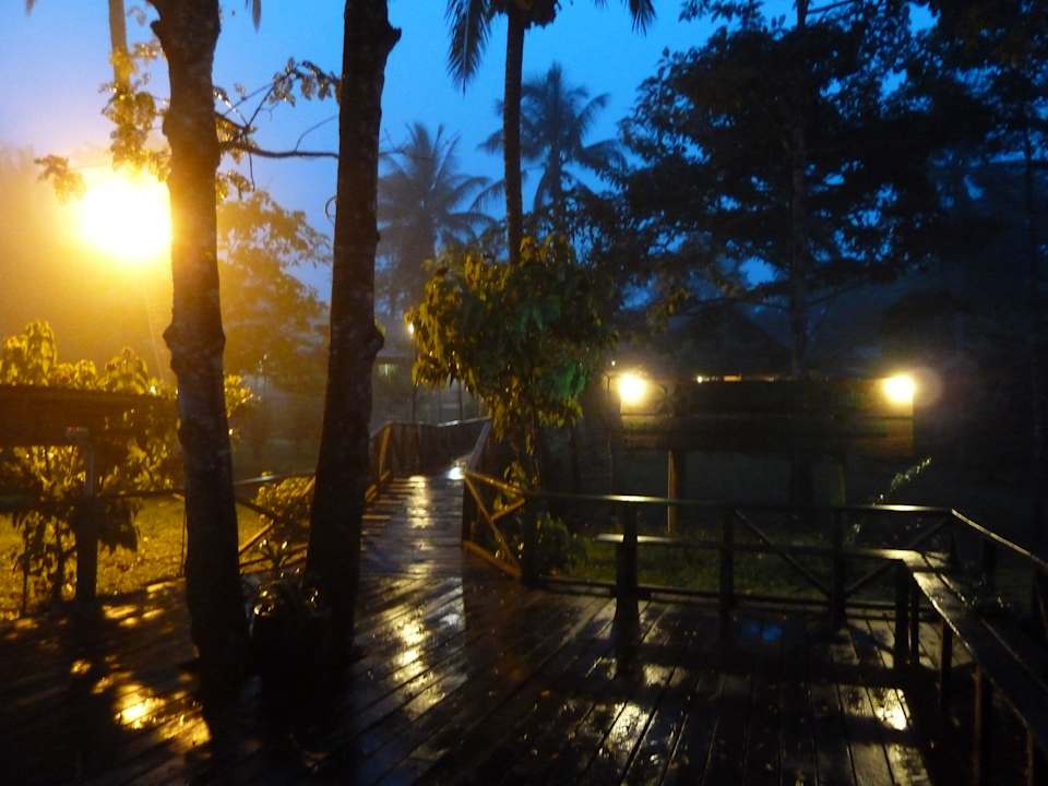 Die Lodge Abends Bilit Rainforest Lodge