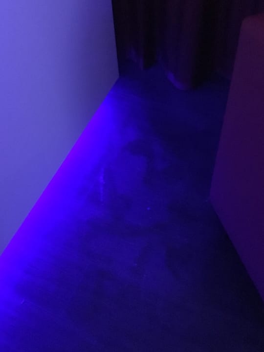 Zimmer DORMERO Hotel Bonn - Windhagen