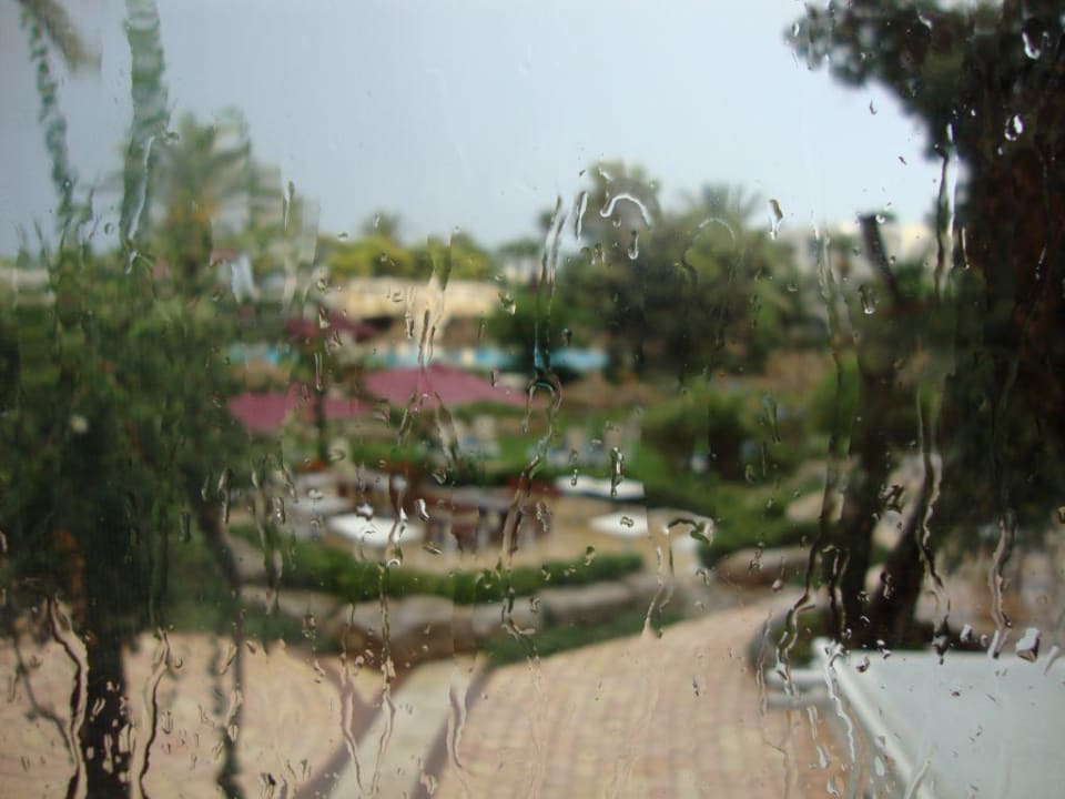 Raindrops on the window TUI MAGIC LIFE Africana
