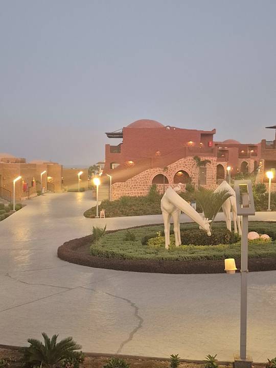 Gartenanlage Pickalbatros Vita Resort - Portofino Marsa Alam