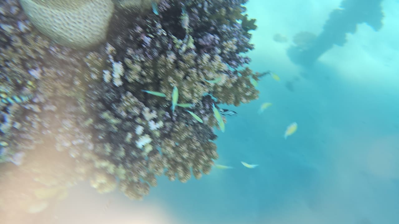 Sport & Freizeit Shams Alam Beach Resort