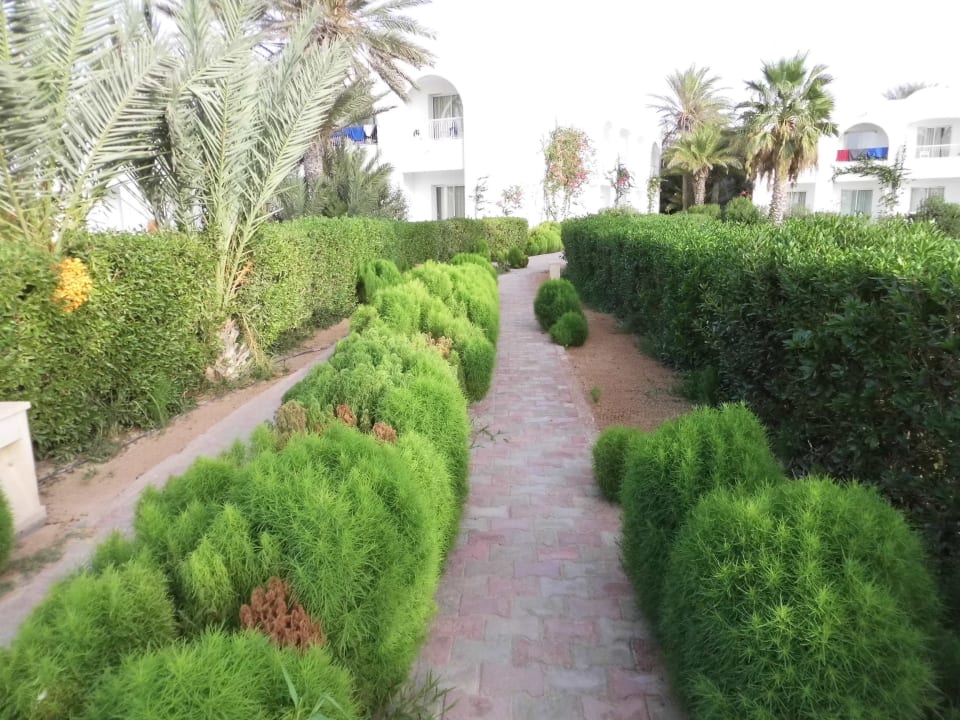 Im Garten Hotel Seabel Rym Beach Djerba