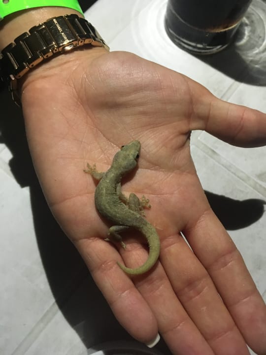 Ausblick Adaaran Select Hudhuran Fushi - Premium All Inclusive