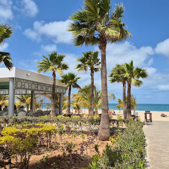 Ausblick Hotel Riu Palace Boavista