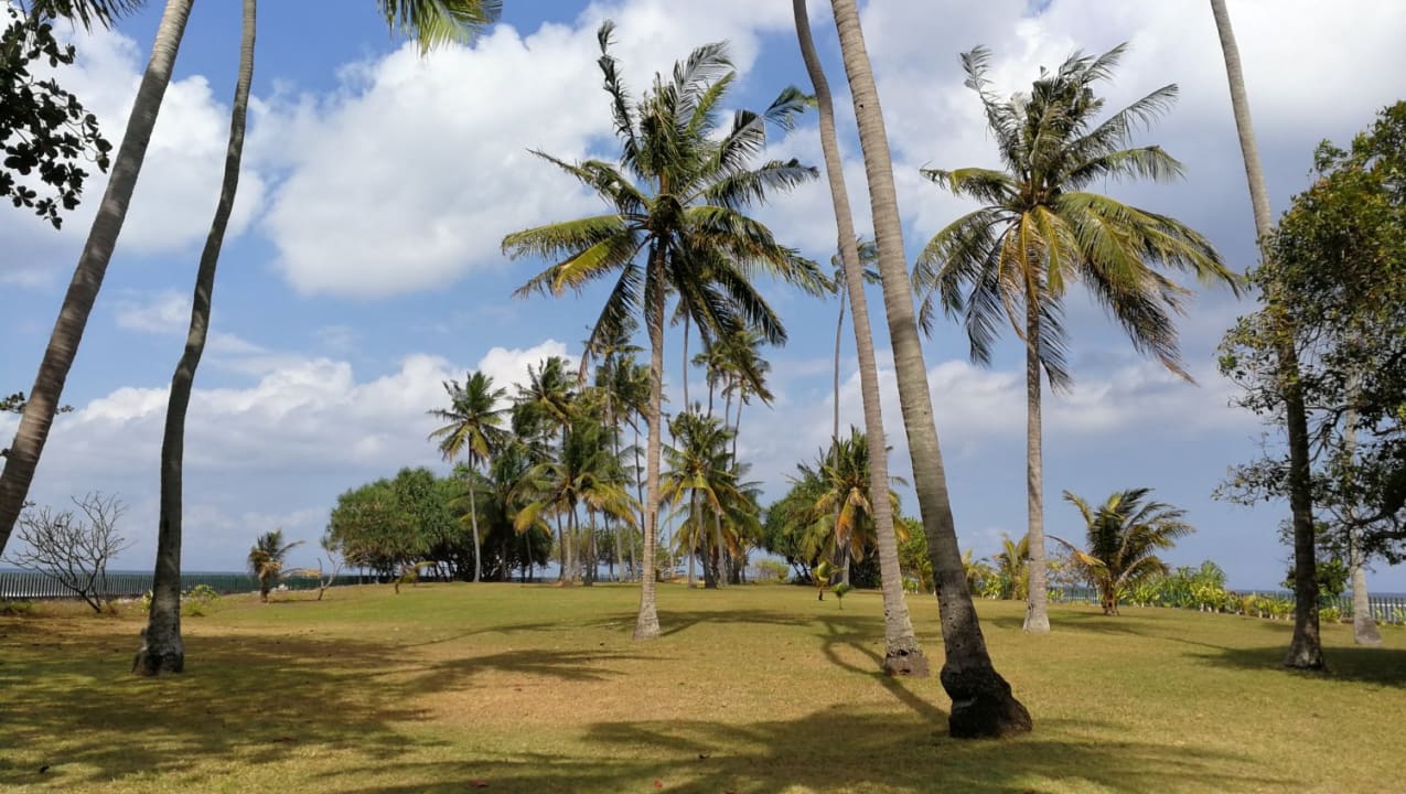 Gartenanlage Kila Senggigi Beach Lombok