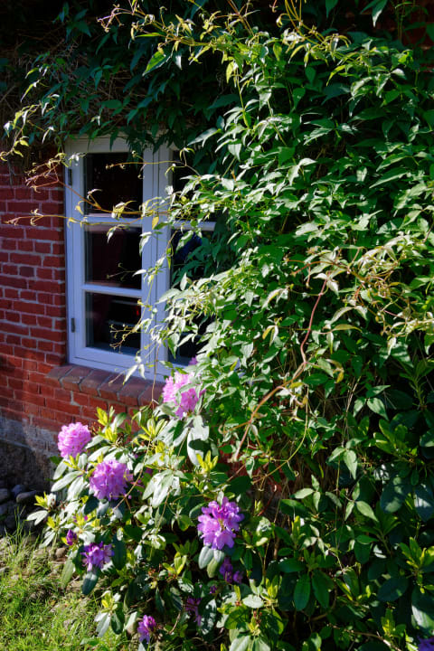 Außenansicht Ferienhaus Vollandt