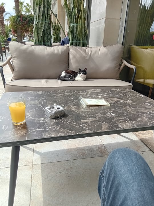 Gartenanlage Gardenia Hotel