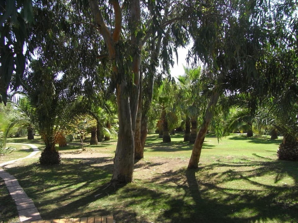 Garten Blue Waters Club