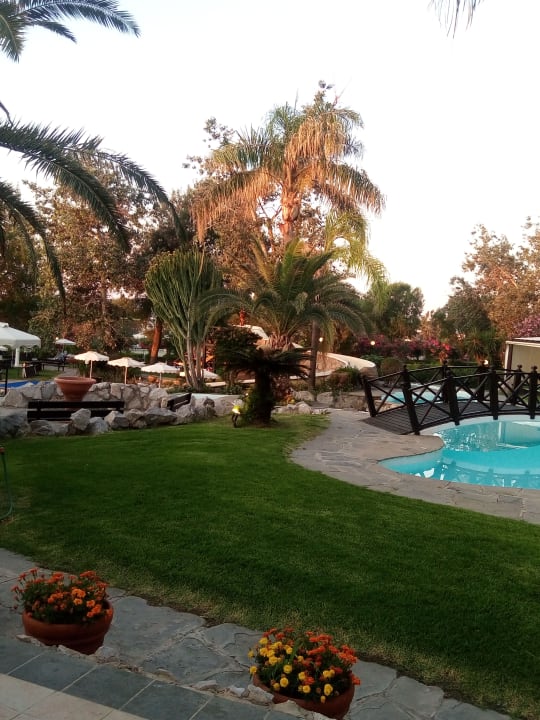 Pool Hotel Calypso Beach