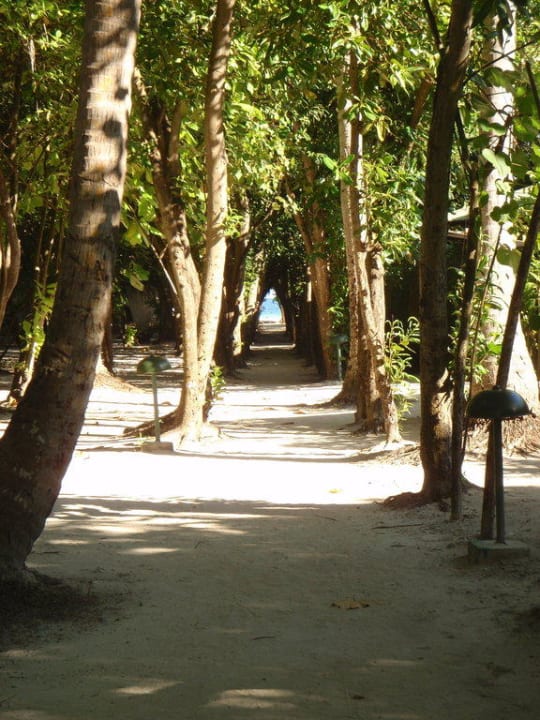 Wege Embudu Village