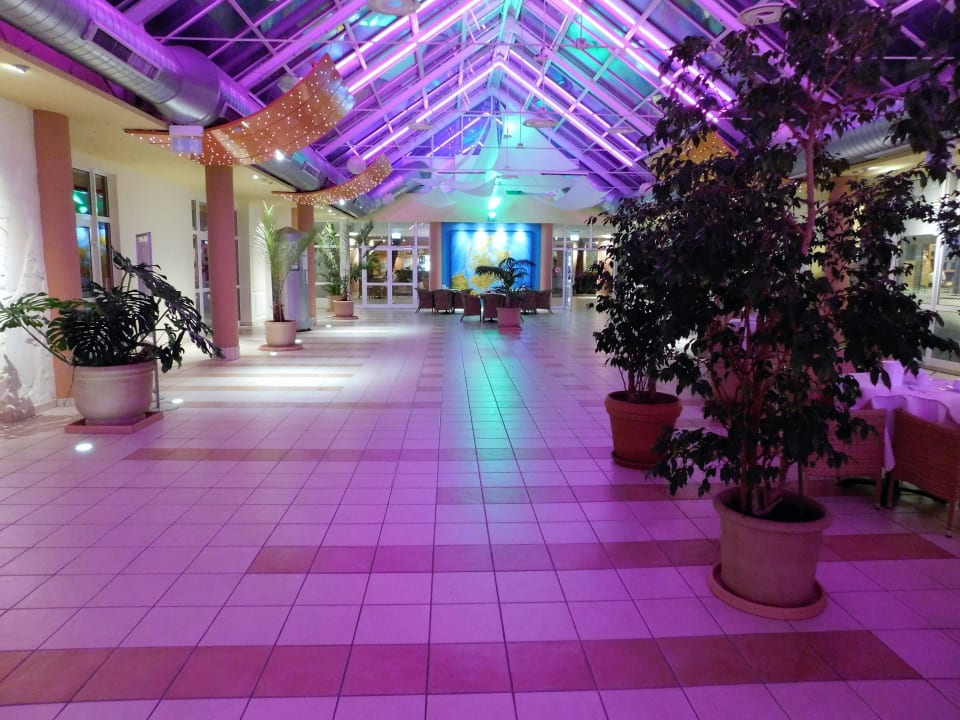 Plaza IFA Rügen Hotel & Ferienpark