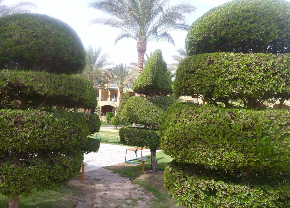 Superschön geschnittene Bäume Jaz Makadina