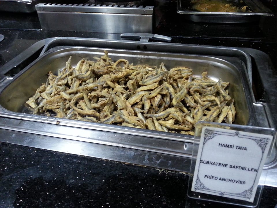 Warme Hauptspeisen Salamis Bay Conti Resort Hotel & Casino