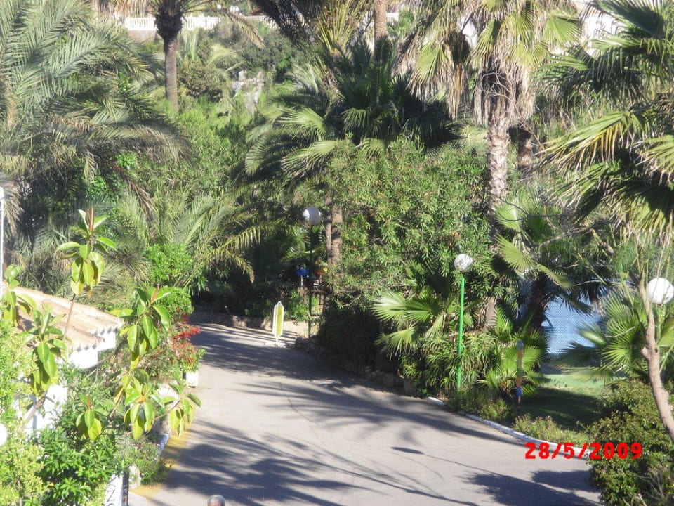 Urwald? Flipflop Cala Romantica