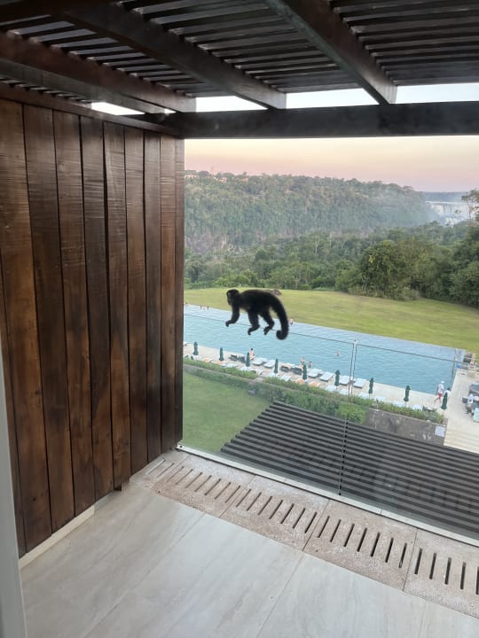 Zimmer Gran Meliá Iguazú