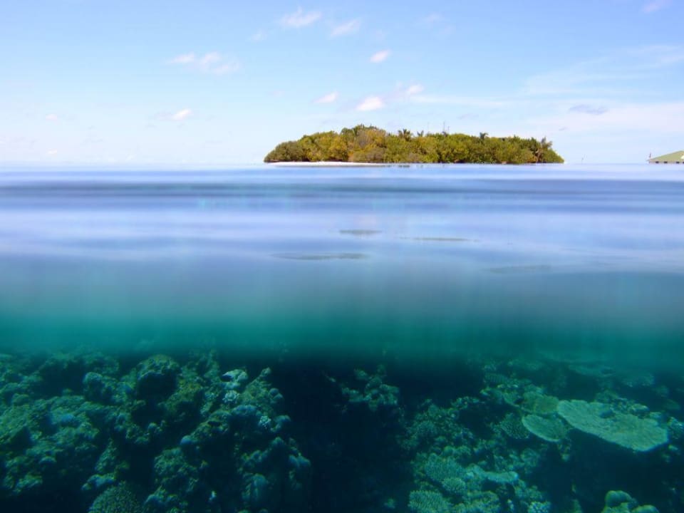 Unter / Oberwasser Eri Maldives
