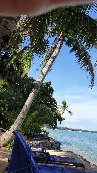 Gartenanlage Paradise Beach Resort, Samui