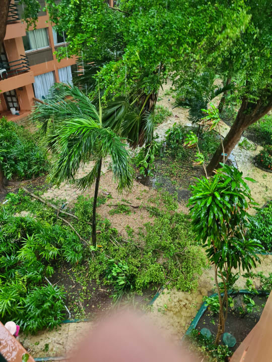 Ausblick whala!boca chica