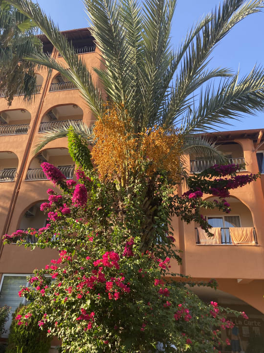 Außenansicht Club Turtas Beach Hotel